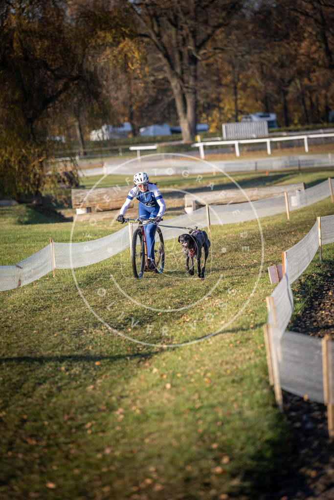 CaniXpix_DV3A1378 | Hundefotografie, Tierfotograf, Pfotenfotografie, Fotoshooting Hund, Hunde Portrait, Hundesport, Hundeportraits, Heideshooting, Hunde, Sportfotograf, Hundefotograf, Turnierhundsport, THS,  - Realisiert mit Pictrs.com