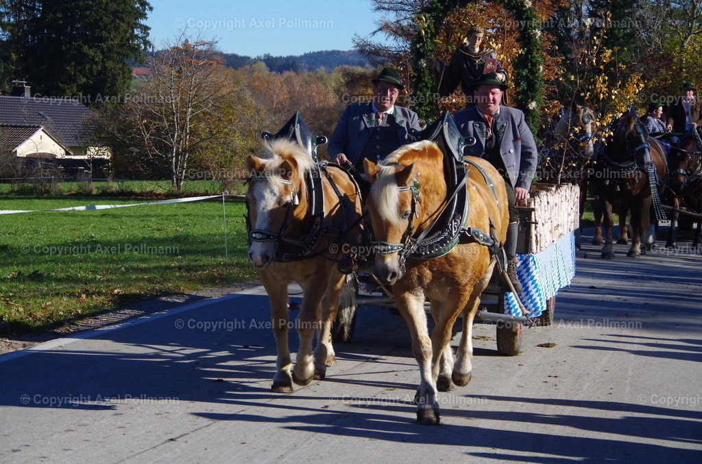 IMGP8143 | fotografiert von Axel PollmannLeonhardi Wallfahrt Benediktbeuern und Murnau, Fronleichnam, Fasching, Landschaft im Loisachtal und Benediktbeuern  - Realisiert mit Pictrs.com