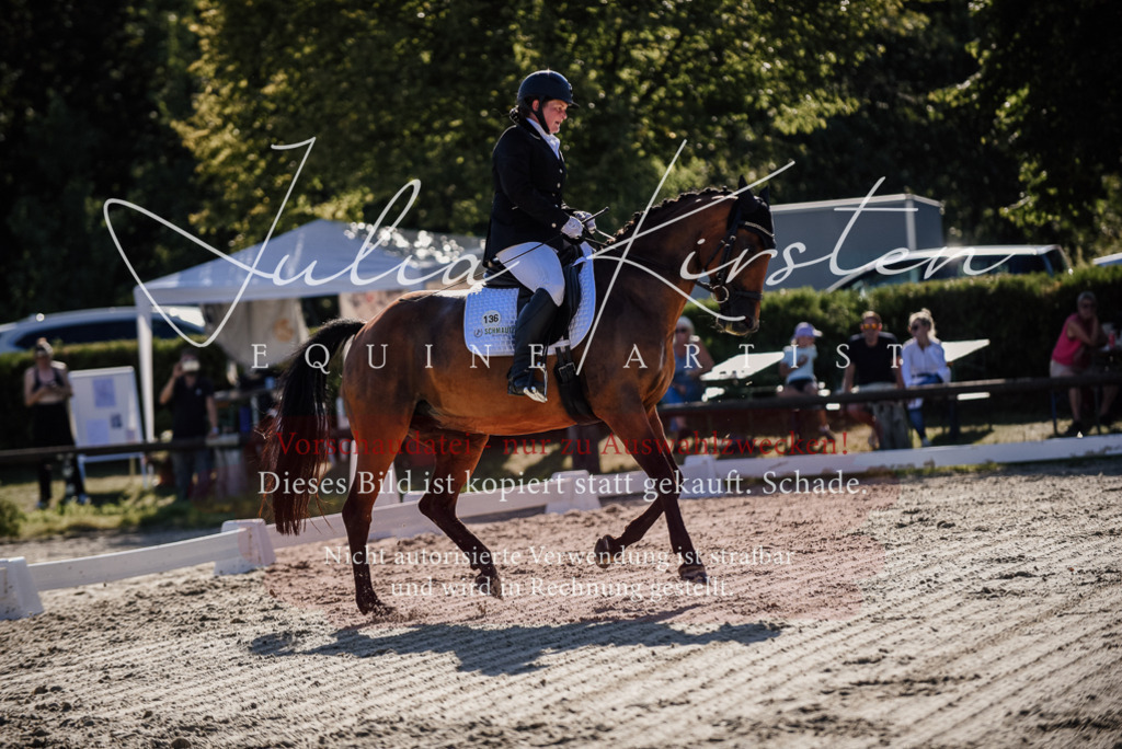 DSC_0381 | Pferde- und Turnierfotografie in Westsachsen. Pferdeportraits, Auftragszeichnungen und intuitive Kunst.