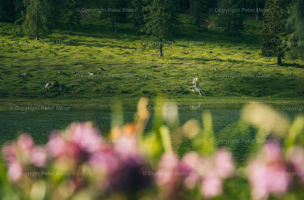 Wandern_Karnische_Milchstrasse_2020-68 | piet_flosse