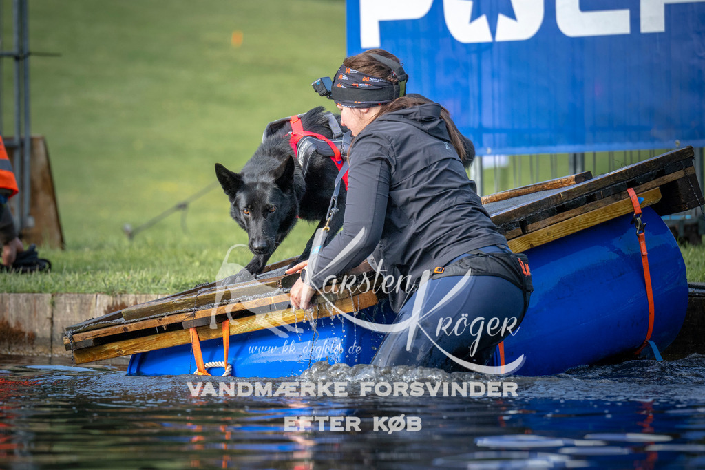 _ZZ943600715 | kk-dogfotos