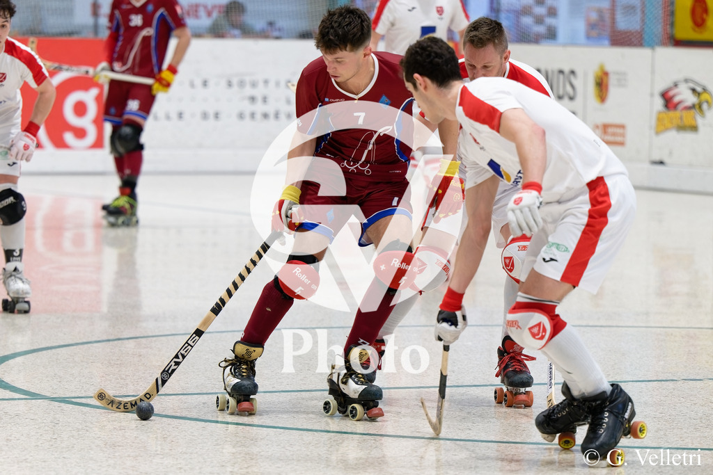 DSC_1031 | Velletri Photo