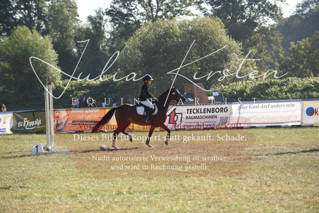DSC_5763 | Pferde- und Turnierfotografie in Westsachsen. Pferdeportraits, Auftragszeichnungen und intuitive Kunst.