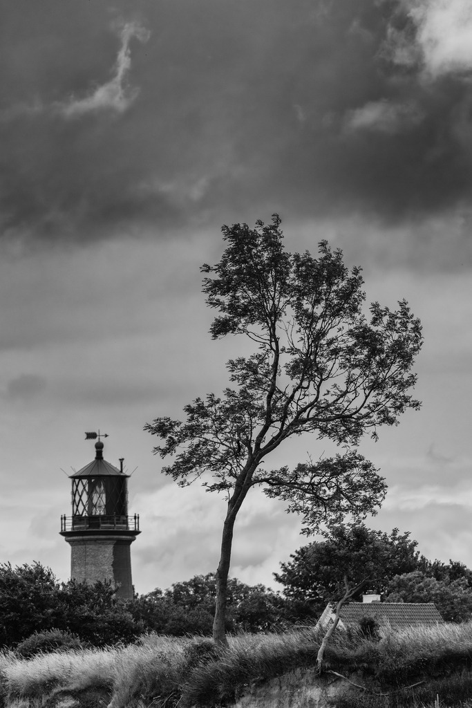 2025_07_09_FEHMARN-LEUCHTTURM+SCHMETTERLINGE_MCP8761 sw | Hochwertig gedruckte Fotografien für die Wand, als Kalender und zum Verschenken. Hamburg & Norddeutschland und überall wo ich mit der Kamera unterwegs war.