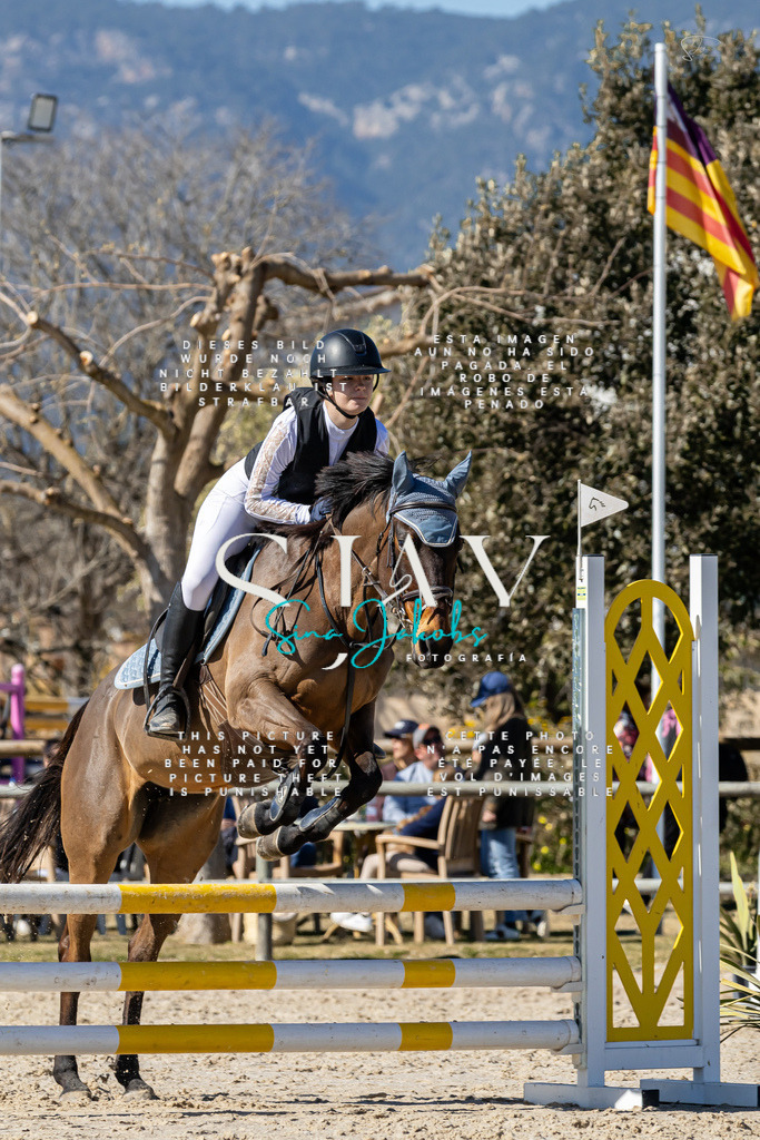 IMG_9415 | s-jay-photography - Realisiert mit Pictrs.com