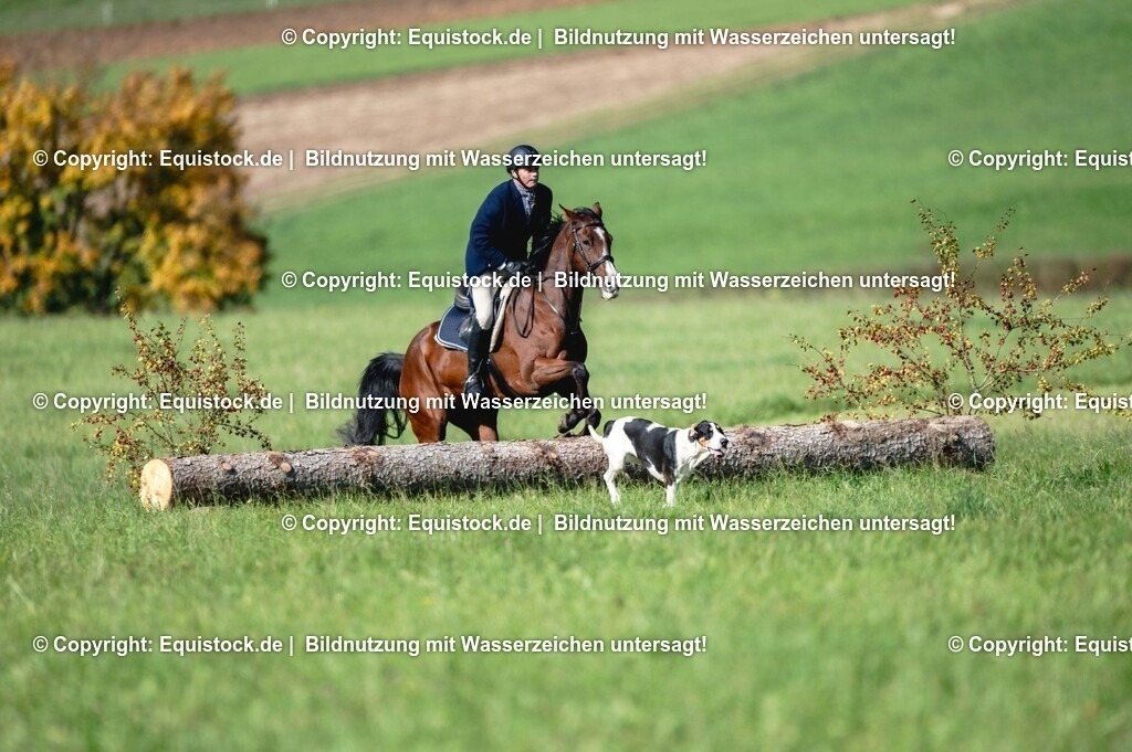 20251011_Jagd-Marbach_0230 | Foto: Thomas Hartig