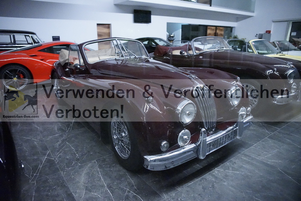 _DSC2412 | equestrian-live-com