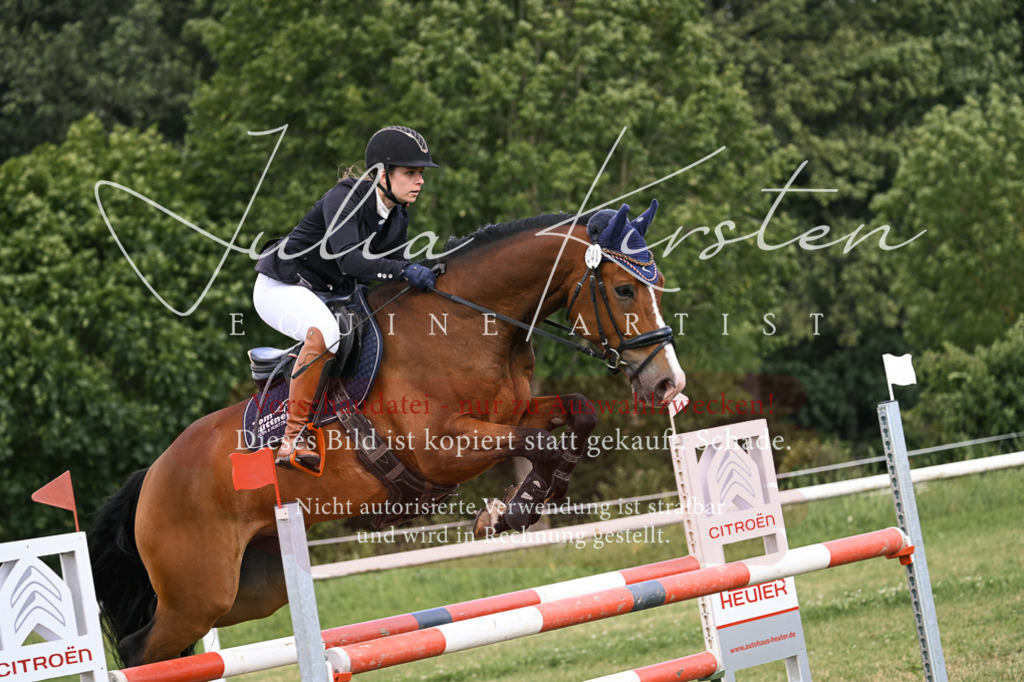 DSC_0903 | Pferde- und Turnierfotografie in Westsachsen. Pferdeportraits, Auftragszeichnungen und intuitive Kunst.