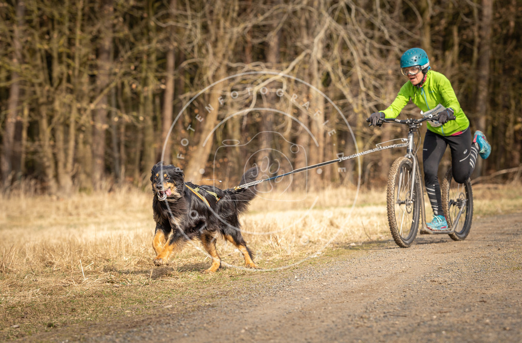 DV3A4844 | Hundefotografie, Tierfotograf, Pfotenfotografie, Fotoshooting Hund, Hunde Portrait, Hundesport, Hundeportraits, Heideshooting, Hunde, Sportfotograf, Hundefotograf, Turnierhundsport, THS,  - Realisiert mit Pictrs.com