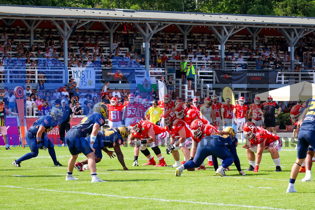 GFL: Potsdam Royals vs. Dresden Monarchs{date} -  | {headline}(Foto: Thomas Sobotzki / BOND) - Realisiert mit Pictrs.com