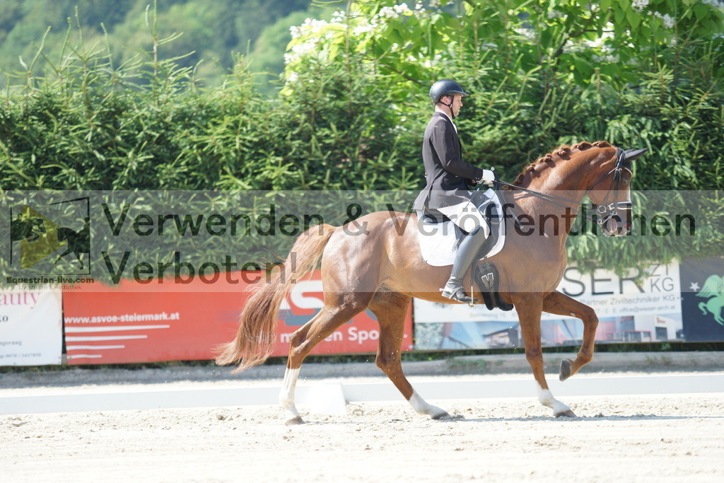 DSC02312 | equestrian-live-com