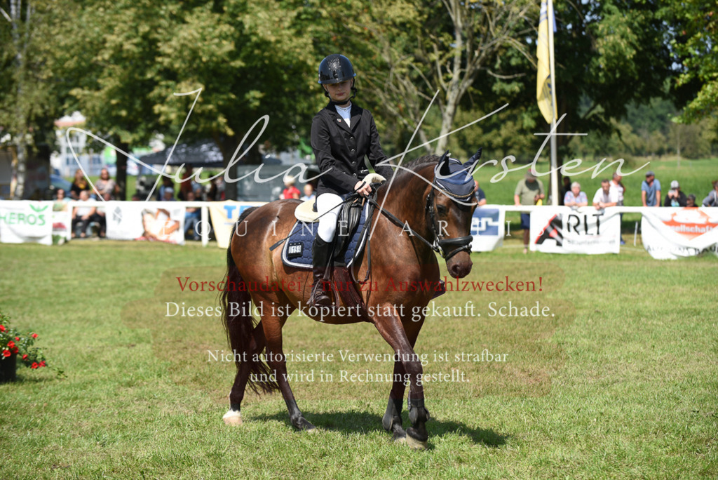 DSC_9914 | Pferde- und Turnierfotografie in Westsachsen. Pferdeportraits, Auftragszeichnungen und intuitive Kunst.