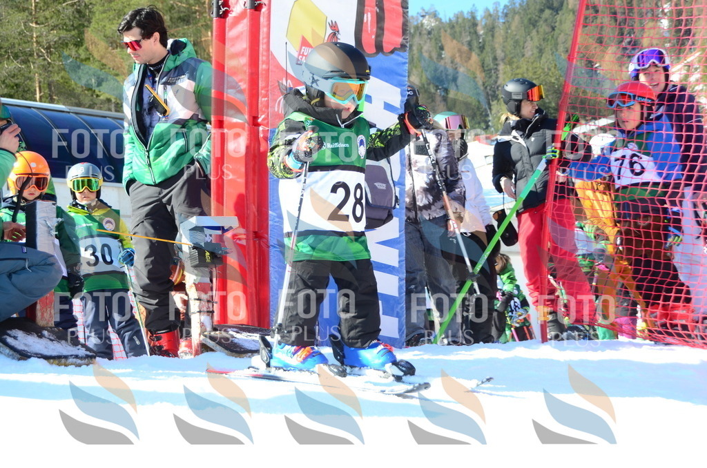 C4842 | holidayphoto