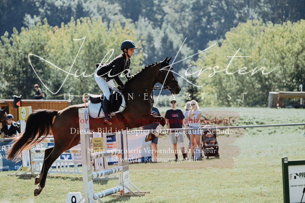 DSC_5586 | Pferde- und Turnierfotografie in Westsachsen. Pferdeportraits, Auftragszeichnungen und intuitive Kunst.