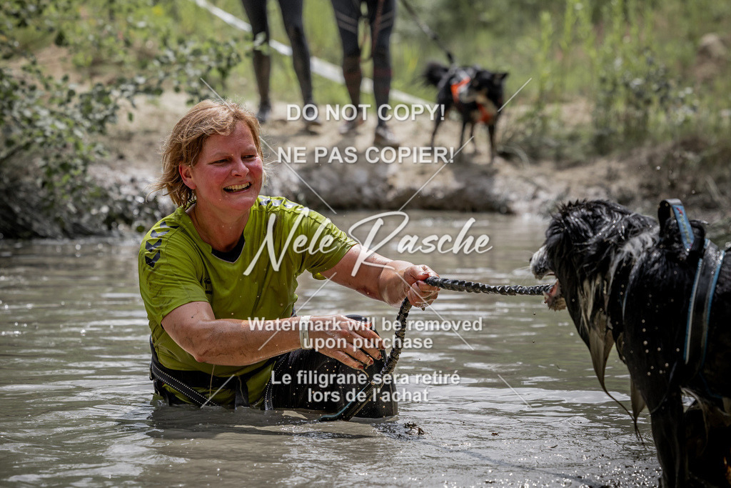 nelerasche_so1330-1400_136 | nelerasche