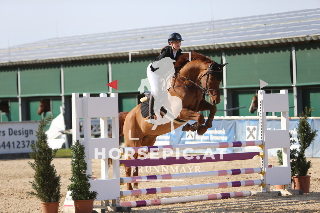 DL2Q4207 | Willkommen bei Brunnmayr - Design & Fotografie – Ihrem Spezialisten für Reitturniere und Pferdeveranstaltungen in Oberösterreich, Salzburg und Bayern! Seit über 17 Jahren sind wir leidenschaftlich dabei.