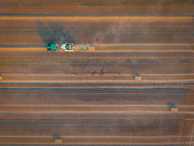 2026-07-30_19-30-53_000 | Traktor, der Strohballen auf einem großen Feld bei der Ernte erstellt, gesehen aus der Vogelperspektive, Zeulenroda, Thüringen, Deutschland - Realisiert mit Pictrs.com