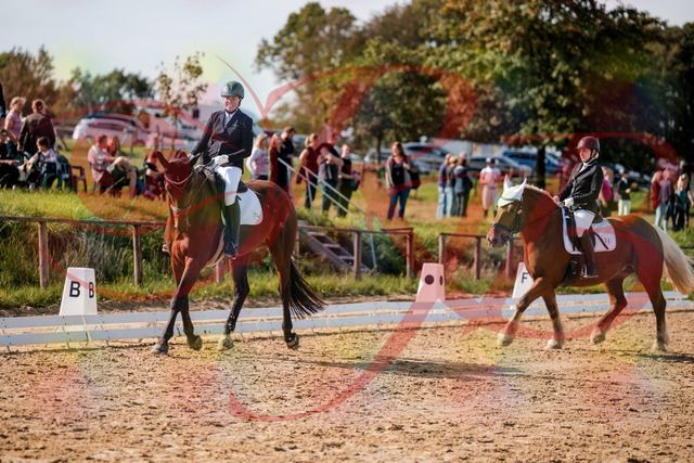 2026_10_03_Siefer-Hof_130324_Z63_65568756 | Professionelle Reitsport-, Turnier- und Eventfotografie von Robert Broda. Galerien mit ausgewählten und bearbeiteten Bildern direkt online ansehen und bestellen.