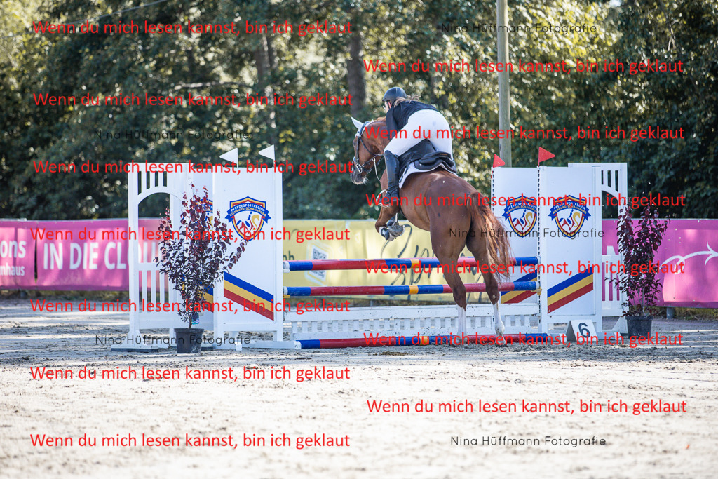 BK1A7082 | Turnierbilder Turnierfotos Nina Hüffmann Turnierfotografie Pferdefotografie Tierzeichnung Haustierzeichnung Pferdezeichnung Hundezeichnung Videograf  - Realisiert mit Pictrs.com