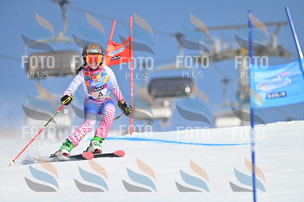 BGV_7546 | holidayphoto