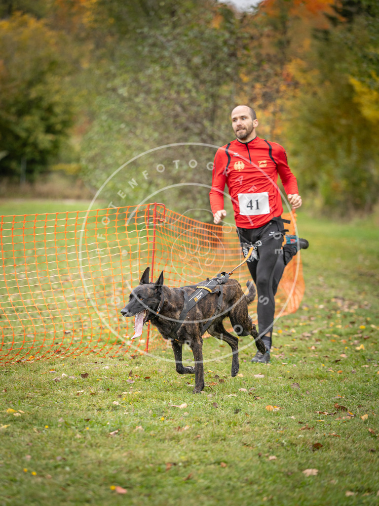 Pfotenfotografie_DV3A2305 | Hundefotografie, Tierfotograf, Pfotenfotografie, Fotoshooting Hund, Hunde Portrait, Hundesport, Hundeportraits, Heideshooting, Hunde, Sportfotograf, Hundefotograf, Turnierhundsport, THS,  - Realisiert mit Pictrs.com