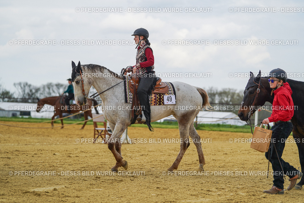 DSC06385 | Pferdegrafie