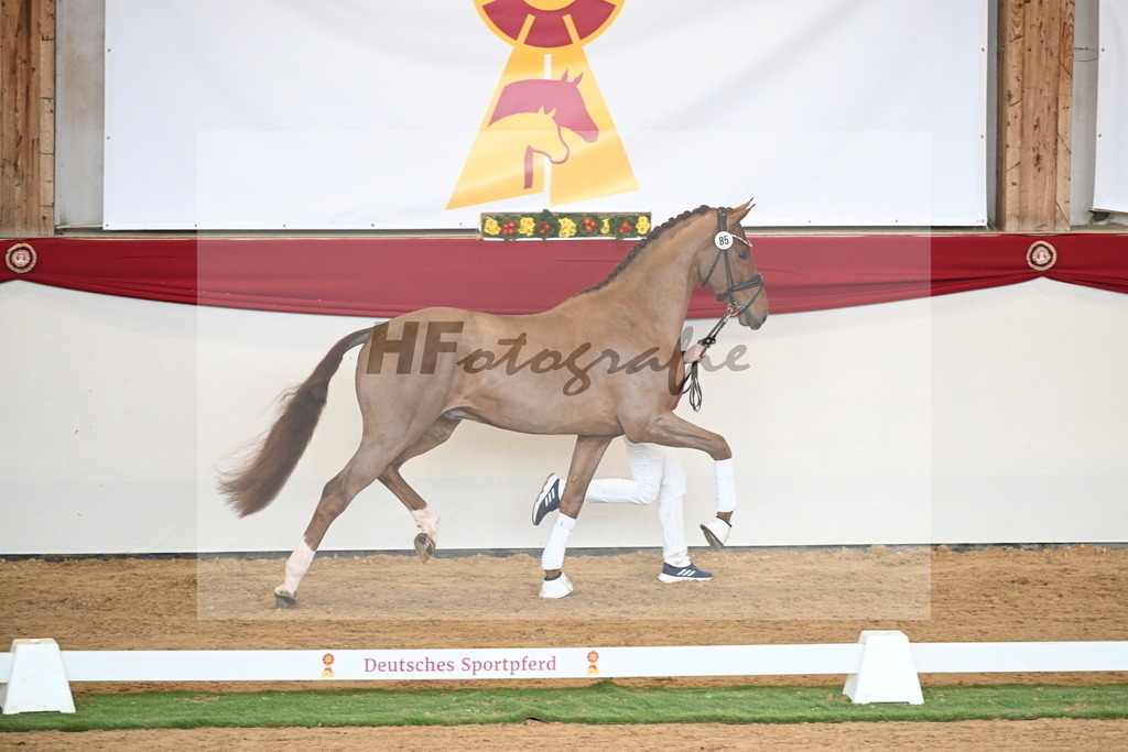 Kat.-Nr. 85 v. Vitalis_Wiens_2250781 | hf-fotografie - Realisiert mit Pictrs.com