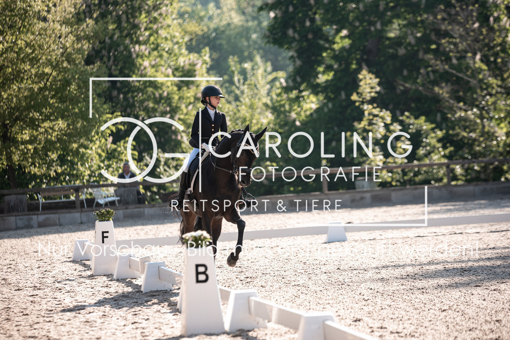 DSC_9015 | Turnierfotografin Carolin Gieschke, Turnierfotografie Carolin G Fotografie, Turnierfotos Kirchheim/Teck, Esslingen, Stuttgart, Bodenseekreis