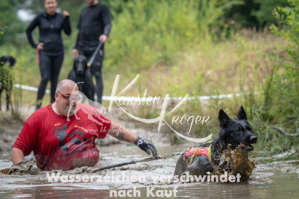 1022_ZZ93646 | kk-dogfotos