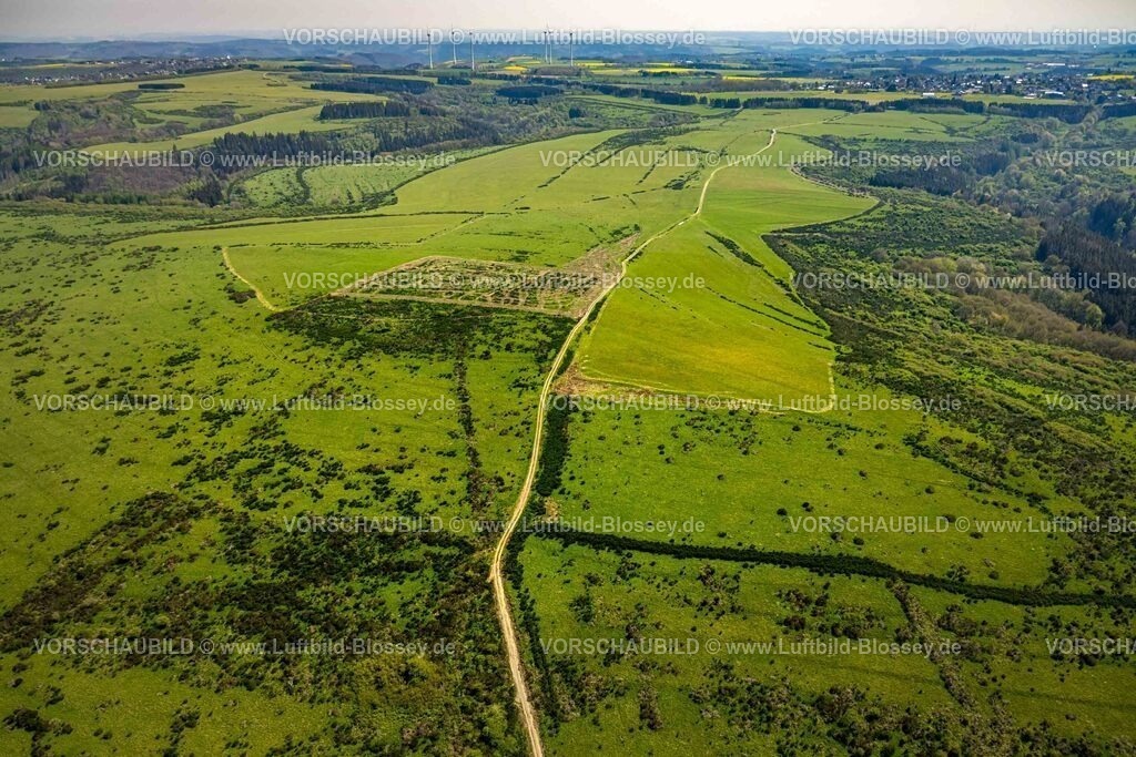 Schleiden240502121DreibornerHochfläche | Luftbild, Waldgebiet und Dreiborner Hochfläche Naturschutzgebiet NSG zwischen Scheuren und Dreiborn, Wiesen und Felder mit Muster, Nationalpark Eifel, Dreiborn, Schleiden, Nordrhein-Westfalen, Deutschland