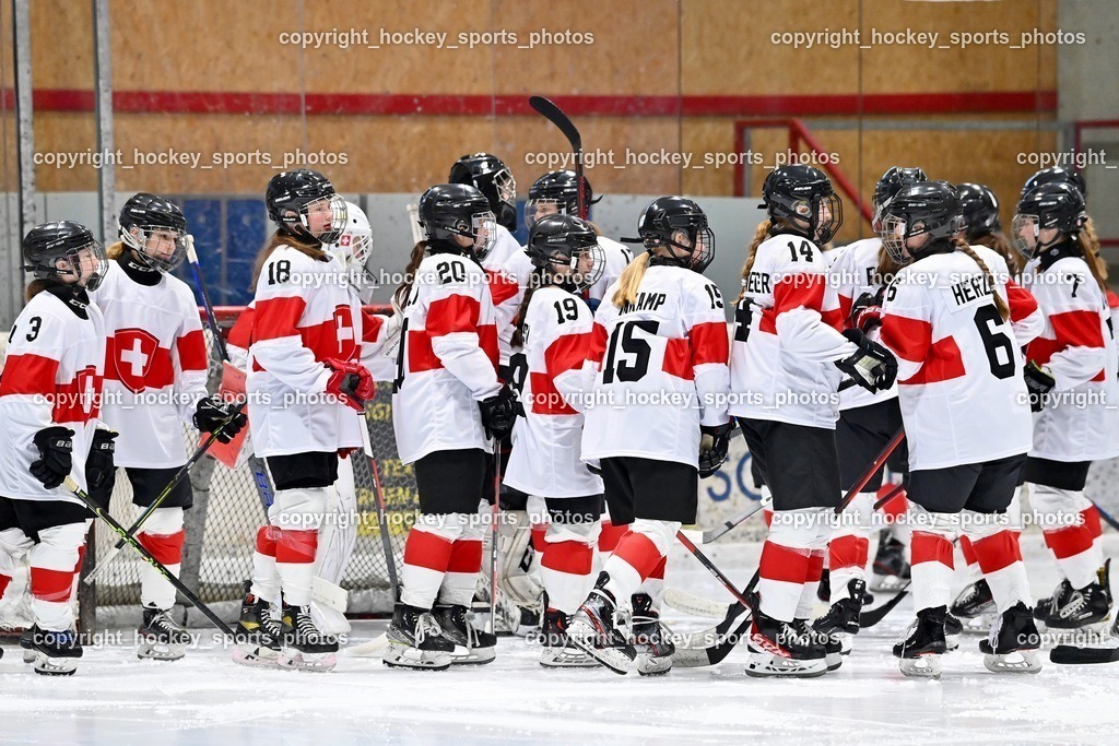 BST_3089 | hockey sports photos, Pressefotos, Sportfotos, hockey247, win 2day icehockeyleague, Handball Austria, Floorball Austria, ÖVV, Kärntner Eishockeyverband, KEHV, KFV, Kärntner Fussballverband, Österreichischer Volleyballverband, Alps Hockey League, ÖFB, 