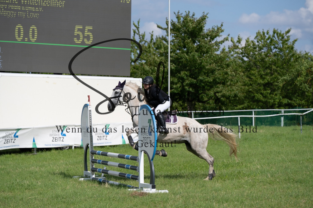 A7V03451 | Pferdefotograf