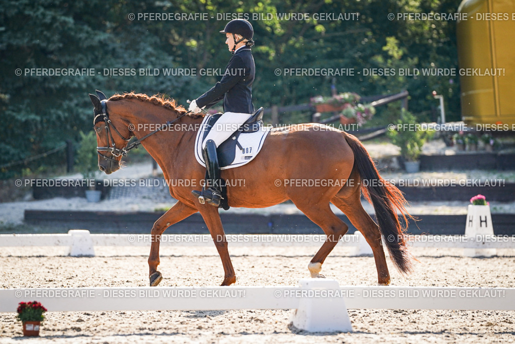 DSC09048 | Pferdegrafie