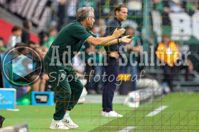 Borussia Mönchengladbach vs SV Werder Bremen - Bundesliga  | Mönchengladbach, Deutschland, 14.09.25:   Trainer Horst Steffen (SV Werder Bremen) gestikuliert, Gestik waehrend des Spiels der Bundesliga zwischen Borussia Mönchengladbach vs SV Werder Bremen im Stadion im Borussia Park(Foto von Brauer-Fotoagentur / Adrian Schlueter)