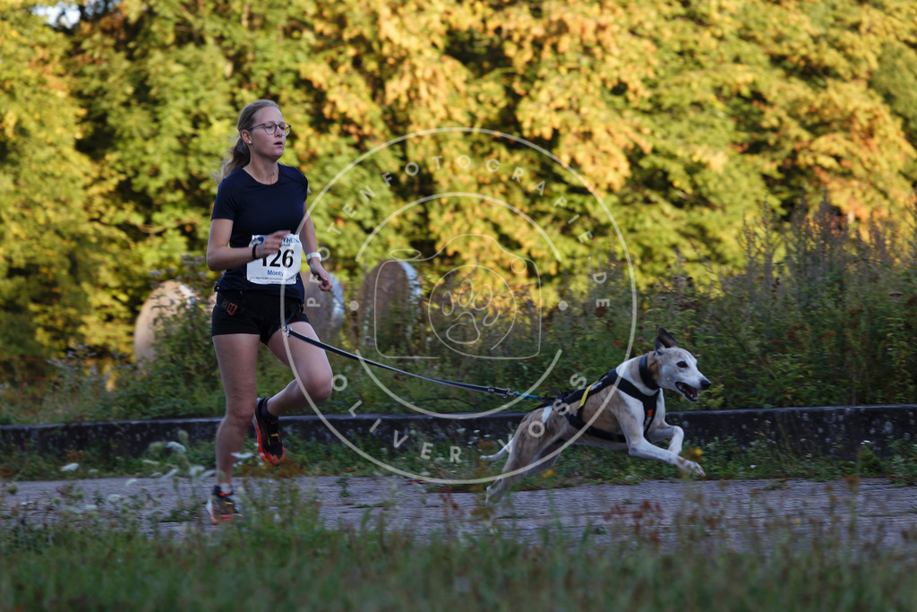 0L8A4456 | Hundefotografie, Tierfotograf, Pfotenfotografie, Fotoshooting Hund, Hunde Portrait, Hundesport, Hundeportraits, Heideshooting, Hunde, Sportfotograf, Hundefotograf, Turnierhundsport, THS,  - Realisiert mit Pictrs.com