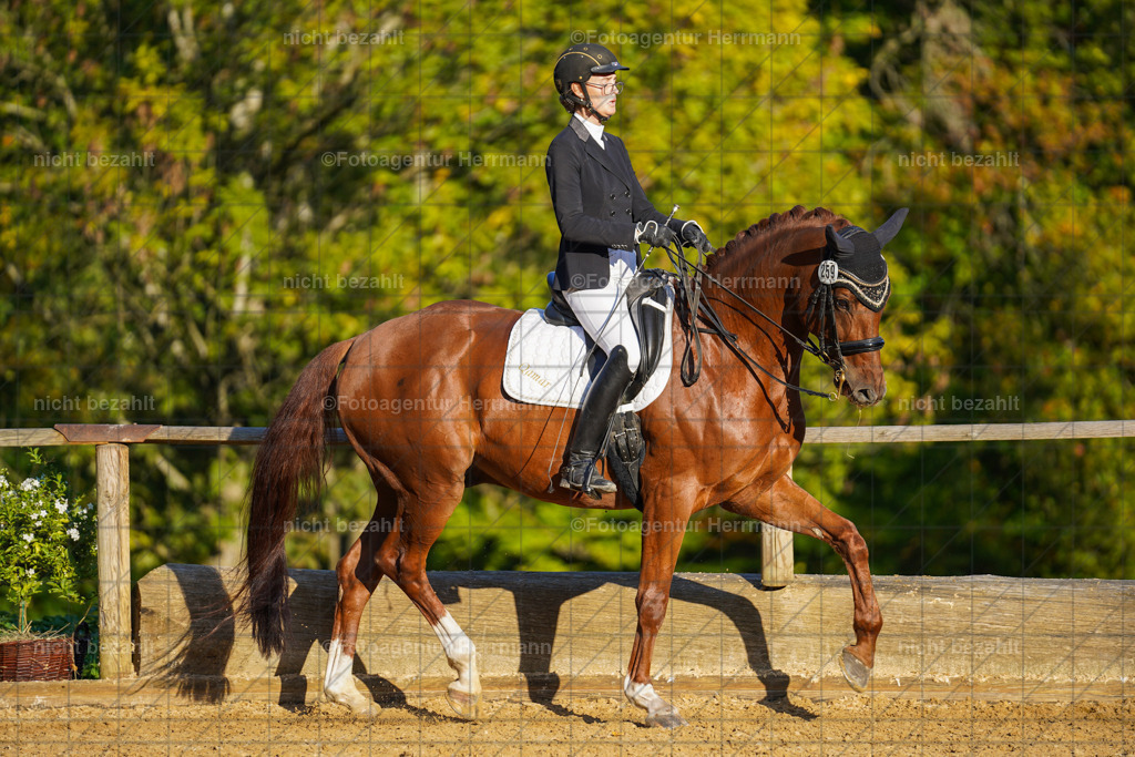 20221007-FAH00331 | Diessen am Ammersee, 2022, Dressur- und Springturnier, Reitsportbilder, Turnierfotografen Bayern, Pferdefotografen, Fotoagentur Herrmann, Turnierbilder