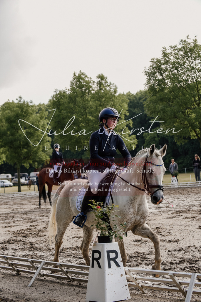 DSC_8063 | Pferde- und Turnierfotografie in Westsachsen. Pferdeportraits, Auftragszeichnungen und intuitive Kunst.