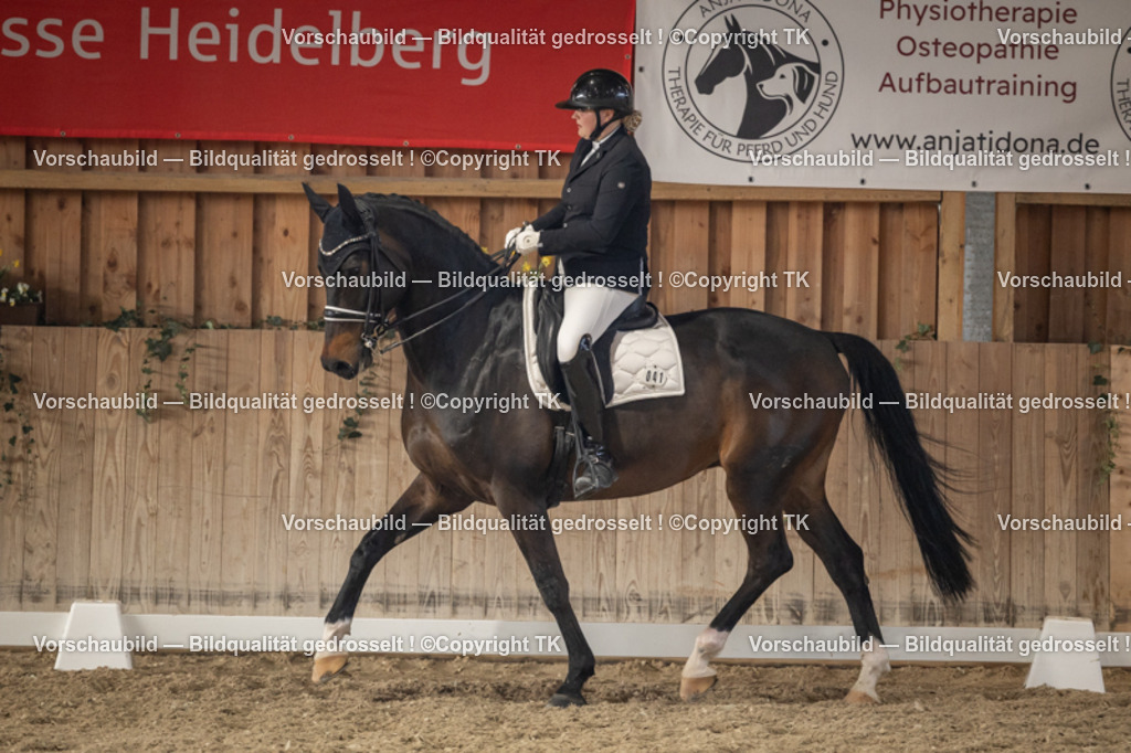 _D5A6320 | Emotionale Pferde- & People-Fotografie rund um Heidelberg, Leimen & Umgebung. Natürliche Fotos von Pferd, Mensch & Familie. Jetzt Termin sichern!