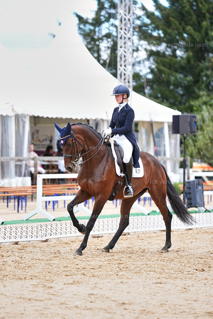 6-196-AMATUER-DRESSUR S_  -Marixx-3724 | working equitationturnier fotograf videograf stoibphotography marixx film working equitation deutschland reitsport turnierfotografie eventfotografie equestrian events