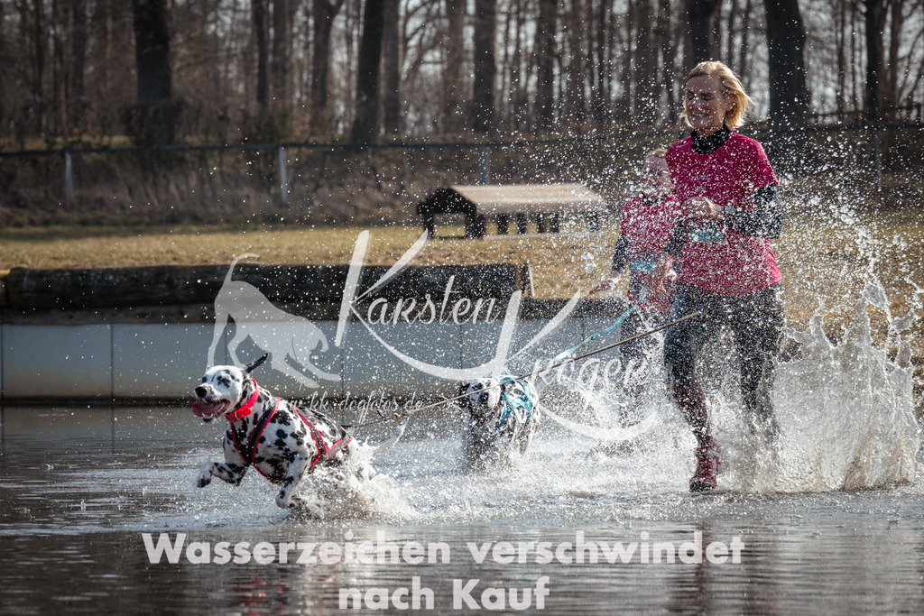 1113_ZZ93123 | kk-dogfotos