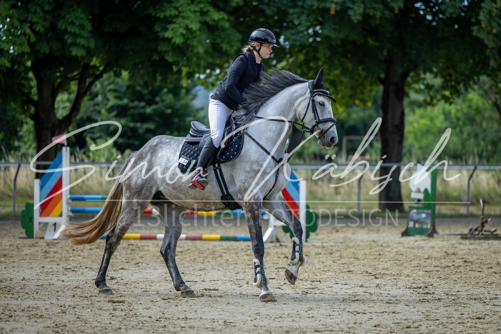 20260704-_3LI6666 | Tierfotografie Pferde, Hunde, Katzen, Haustiere.
Turnierfotografie Reitturniere, Reiten, Springreiten, Dressur in Hanau, dem Main-Kinzig-Kreis und dem Rhein-Main- Gebiet um Frankfurt