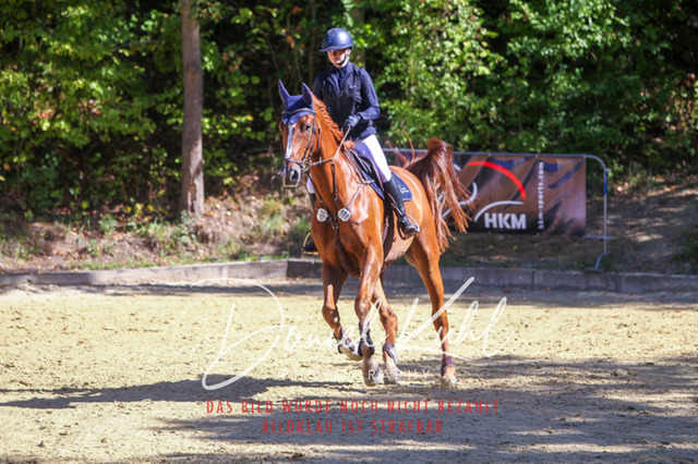 DKP43212 | Deine Turnierfotos vom Reitturnier online kaufen: Dressur, Springen & Siegerehrung. Professionelle Pferdefotografie aus dem Rheinland – als Download & Print.Alternative: Turnierfotograf für den Pferdesport: Finde deine Fotos von Dressur- und Springturnier