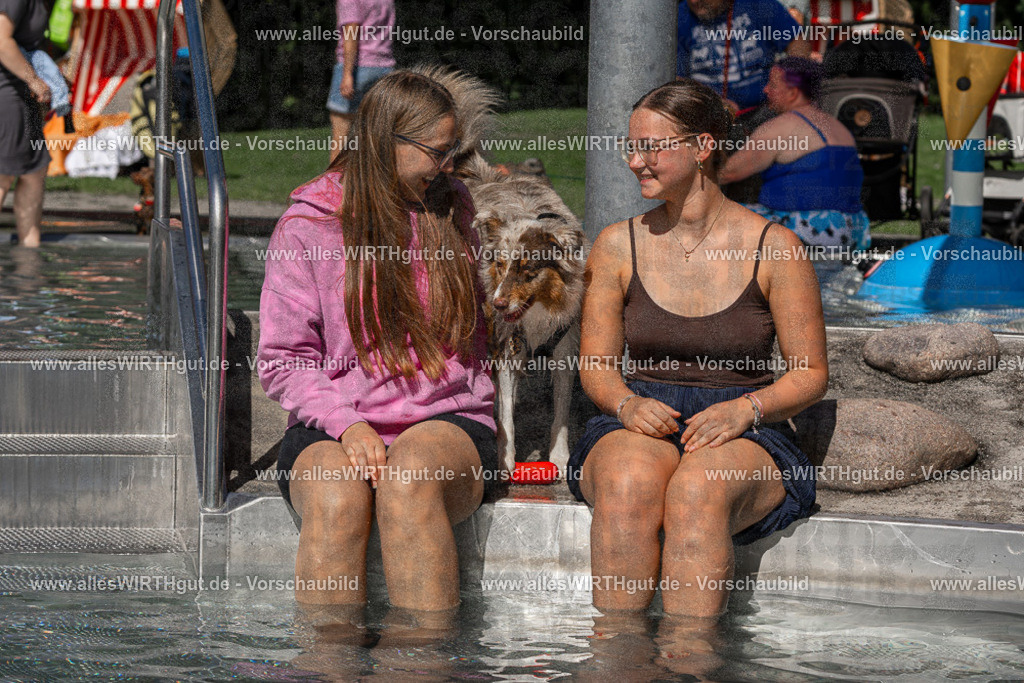 Hundeschwimmen_Volksbad_2026-allesWIRTHgut_Tierfotografie-2609061402-FAY06870 | Professionelle Tierfotografie in Mönchengladbach von Daniel Wirth (allesWIRTHgut). Liebevolle & natürliche Bilder von Hunden & Katzen für unvergessliche Erinnerungen.