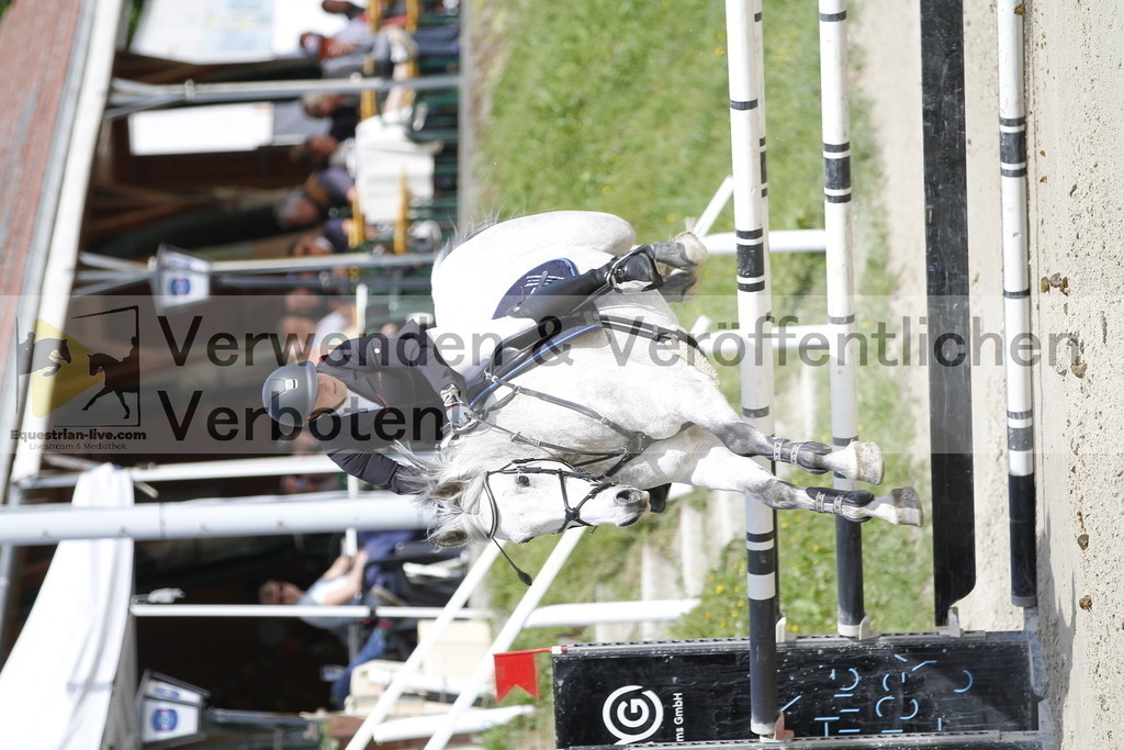 _MG_8852 | equestrian-live-com