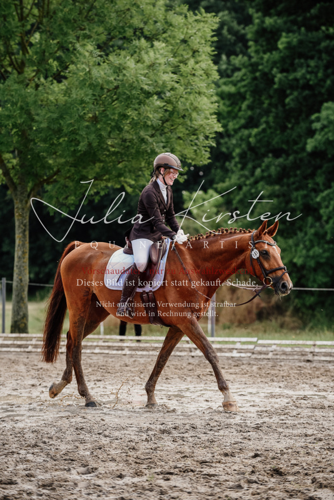 DSC_9724 | Pferde- und Turnierfotografie in Westsachsen. Pferdeportraits, Auftragszeichnungen und intuitive Kunst.