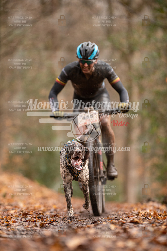SPA_2023_DIM_Bike-3 | PayLife