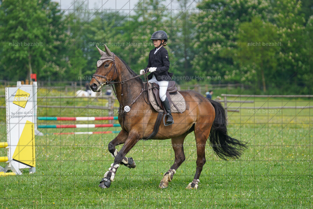 20240509-FAH02151 | Turnierbilder der Turnierfotografen Bayern, Pferdesport Fotografie, Reitsportbilder, Turnier Landberg am Lech, Turnierbilder bayern, Fotoagentur Herrmann