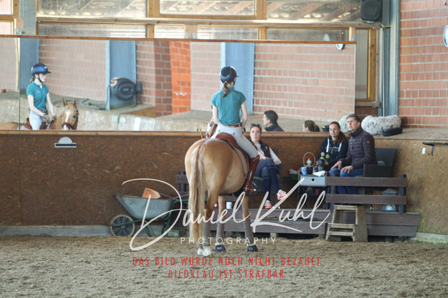 DKP42492 | Turniersportfotografie; Pferdefotografie; Dressurfotografie