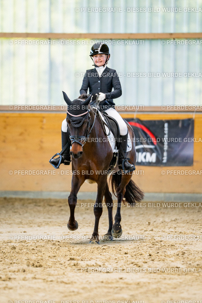 DSC06391 | Pferdegrafie