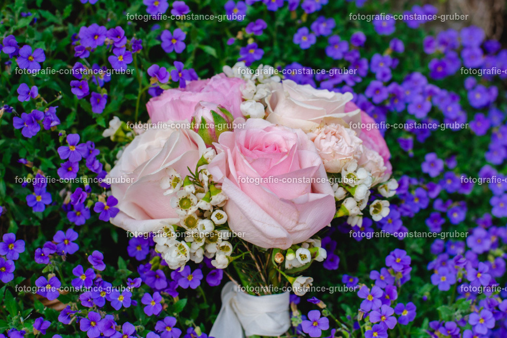 1022 | Fotografie Constance Gruber - Realisiert mit Pictrs.com